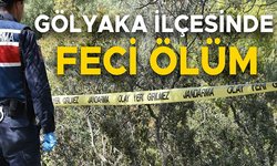 KESTİĞİ AĞACIN ALTINDA KALAN YAŞLI ADAM HAYATINI KAYBETTİ