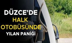 YOLCULAR BÜYÜK KORKU YAŞADI