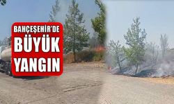 ANIZ YANGINI GENİŞ ALANA YAYILDI