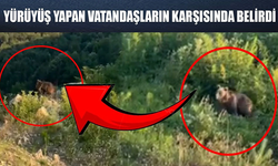 BÖLGE SAKİNLERİNİN KARŞILAŞTIĞI BOZAYI YAVRUSU KAMERADA