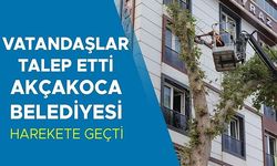 CAN VE MAL GÜVENLİĞİNDE TEHDİT OLUŞTURAN AĞAÇLAR BUDANDI