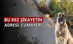 “ÇOCUKLAR DIŞARI ÇIKAMIYOR”