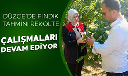 FINDIK BAHÇELERİ KÜLLENME HASTALIĞI VE KURAKLIĞIN TEHDİDİ ALTINDA