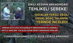 ÜNSAL: DİKİLİ KESİM UYGULAMASI İVEDİLİKLE SONLANDIRILMALI