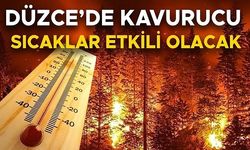 VALİ ASLAN ORMAN YANGINLARINA KARŞI DÜZCELİLER’İ UYARDI
