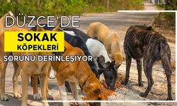 VATANDAŞ VERİLEN SÖZLERİN TUTULMASINI İSTİYOR