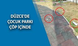 ÇOCUK PARKINDA BU KADAR OLMAZ DEDİRTEN GÖRÜNTÜ