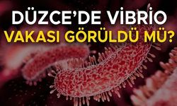 DÜZCE İL SAĞLIK MÜDÜRLÜĞÜ AÇIKLAMA YAPTI