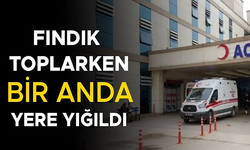 FINDIK İŞÇİSİ KALDIRILDIĞI HASTANEDE TEDAVİ ALTINA ALINDI