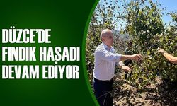 KAYMAKAM PİŞKİN FINDIK TOPLADI