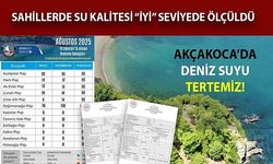 VATANDAŞLAR GÖNÜL RAHATLIĞIYLA DENİZE GİREBİLİR