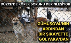“4 BİN TL VERMEZSEM KÖPEĞİM ELLERİNDE REHİN”