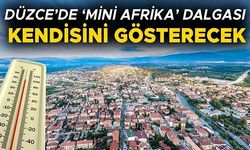 YARIN SICAKLIKLARIN ZİRVE YAPMASI BEKLENİYOR