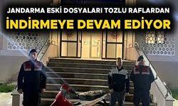 JANDARMA EKİPLERİ HIRSIZLIK ŞÜPHELİSİNİ GÖZALTINA ALDI