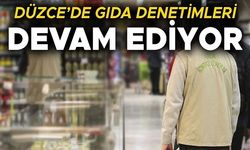 YÜZLERCE İŞYERİNDE DENETİM GERÇEKLEŞTİRİLDİ