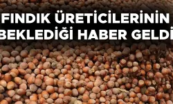 TARIM VE ORMAN BAKANLIĞI FINDIK FİYATLARINI AÇIKLADI