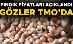 FINDIK ALIMI İÇİN O TARİHTEN İTİBAREN RANDEVU ALINABİLECEK