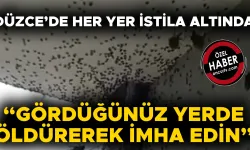 MÜCADELE ÇALIŞMALARI DÖRT KOLDAN SÜRÜYOR