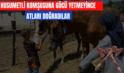ELLERİYLE BESLEDİKLERİ ATLARI KANLI GÖREN MİNİKLER KABUSU YAŞADI