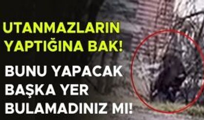 YAŞANAN REZİLLİĞE ŞAHİT OLAN VATANDAŞ: “EDEPSİZLİKLERİNİ SOKAKTA YAŞIYORLAR”