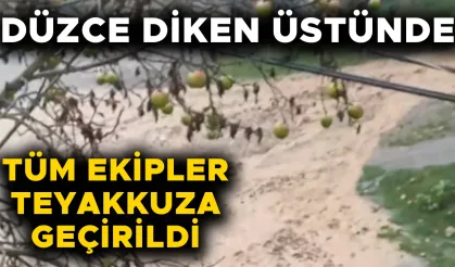 ŞİDDETLİ YAĞIŞLAR YOLLARI DERE YATAĞINA ÇEVİRDİ