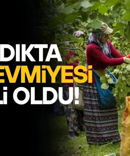 FINDIK HASADI ÖNCESİ YEVMİYE PROTOKOLÜ İMZALANDI