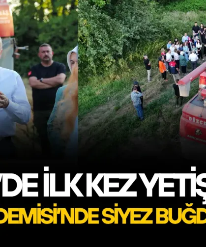 BAŞKAN ÖZLÜ: “BEN GÖREVDE OLDUĞUM SÜRECE TARIM ALANLARI İMARA AÇILMAYACAK”