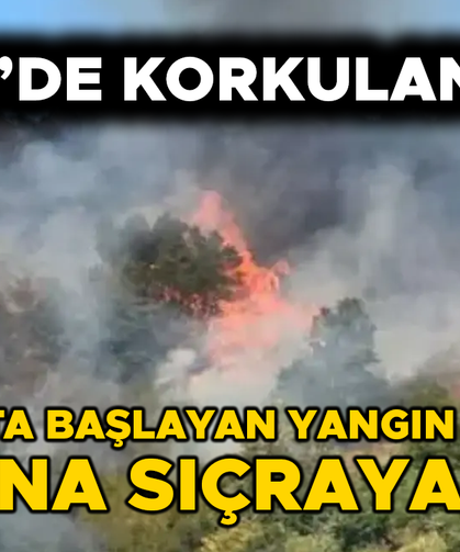 TÜM EKİPLER SEFERBER EDİLDİ…