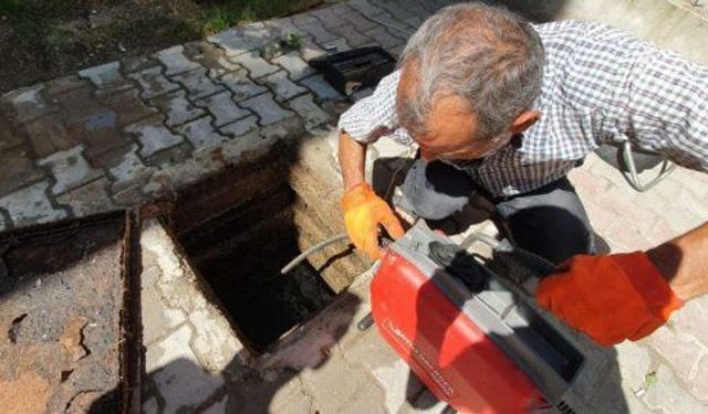 Firma Adı
