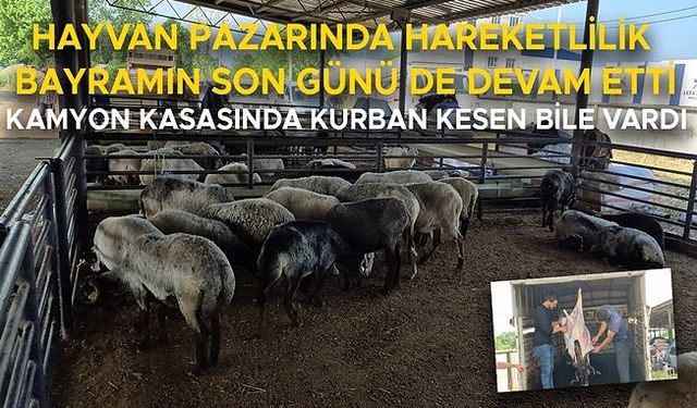 BESİCİLER ELLERİNDE KALAN SON HAYVANLARI SATMAYA ÇALIŞTI
