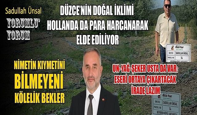 DÜZCE’NİN BU NİMETİNİ HEBA ETMEYELİM