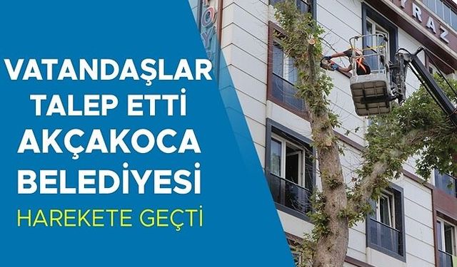 CAN VE MAL GÜVENLİĞİNDE TEHDİT OLUŞTURAN AĞAÇLAR BUDANDI