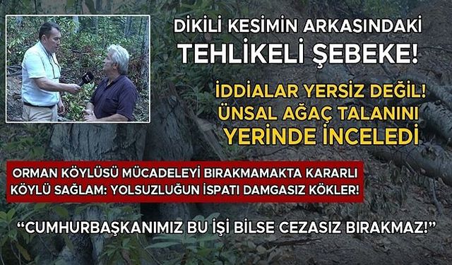 ÜNSAL: DİKİLİ KESİM UYGULAMASI İVEDİLİKLE SONLANDIRILMALI