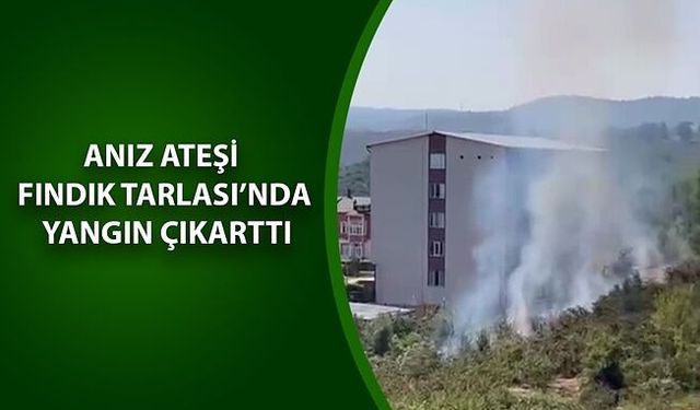 TÜRKİYE’DE ORMAN YANGINLARI KONUŞULURKEN, AKÇAKOCA’DA YÜREKLER AĞIZLARA GELDİ