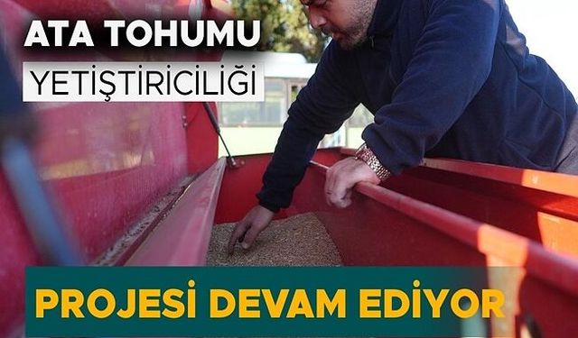 DÜZCE’DE SİYEZ BUĞDAYI TOPRAKLA BULUŞTU