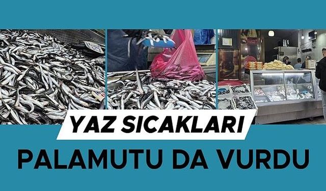TEZGAHLARIN PRENSİ HAMSİ OLDU