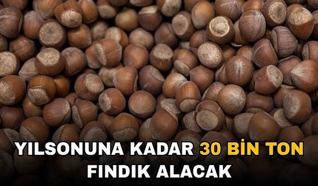 FINDIK FİYATLARININ YÜKSELMESİ BEKLENİYOR
