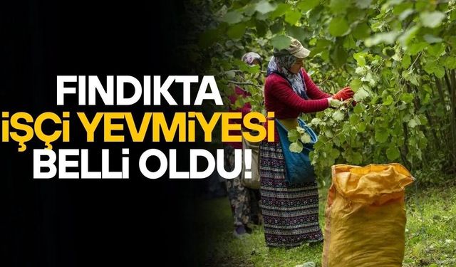 FINDIK HASADI ÖNCESİ YEVMİYE PROTOKOLÜ İMZALANDI
