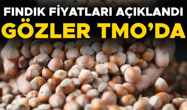 FINDIK ALIMI İÇİN O TARİHTEN İTİBAREN RANDEVU ALINABİLECEK