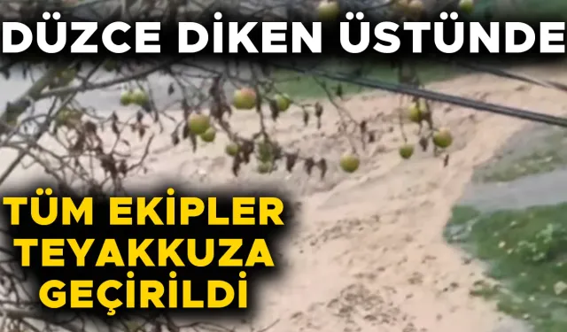 ŞİDDETLİ YAĞIŞLAR YOLLARI DERE YATAĞINA ÇEVİRDİ