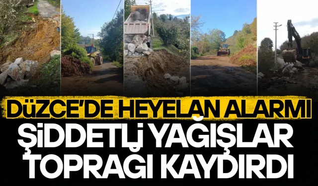 DÜZCE’DE MEYDANA GELEN HEYELANLARIN ARDINDAN EKİPLER SEFERBER OLDU