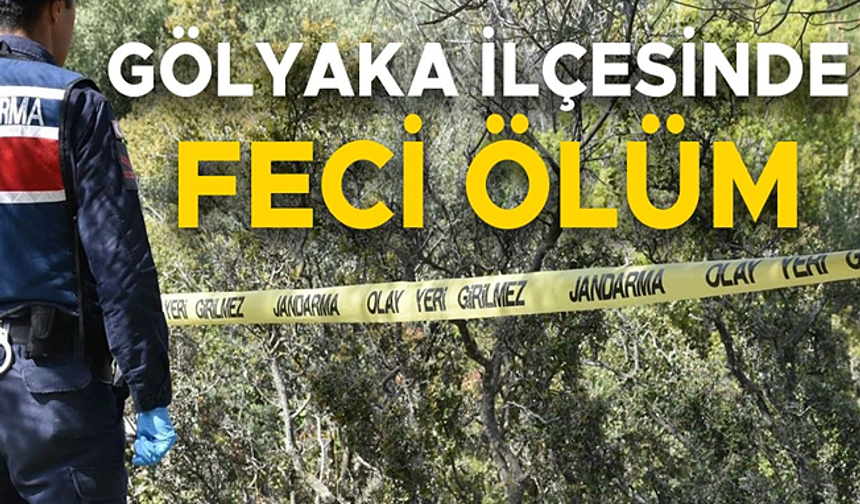 KESTİĞİ AĞACIN ALTINDA KALAN YAŞLI ADAM HAYATINI KAYBETTİ