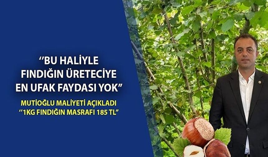 FINDIK FİYATLARININ 350-400 TL OLMASI HAYAL DEĞİL