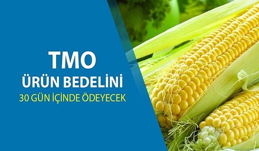 MISIR ALIM FİYATINI AÇIKLADI: TON BAŞINA 11 BİN 300 TL