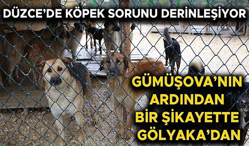 “4 BİN TL VERMEZSEM KÖPEĞİM ELLERİNDE REHİN”