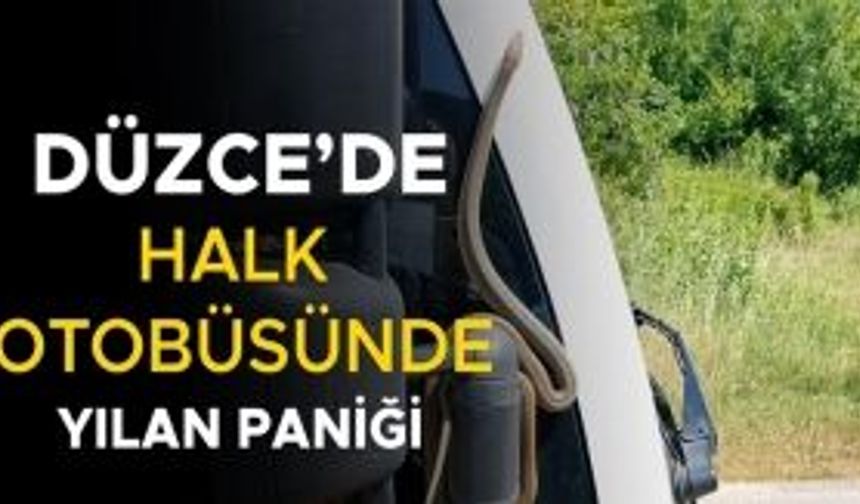 YOLCULAR BÜYÜK KORKU YAŞADI