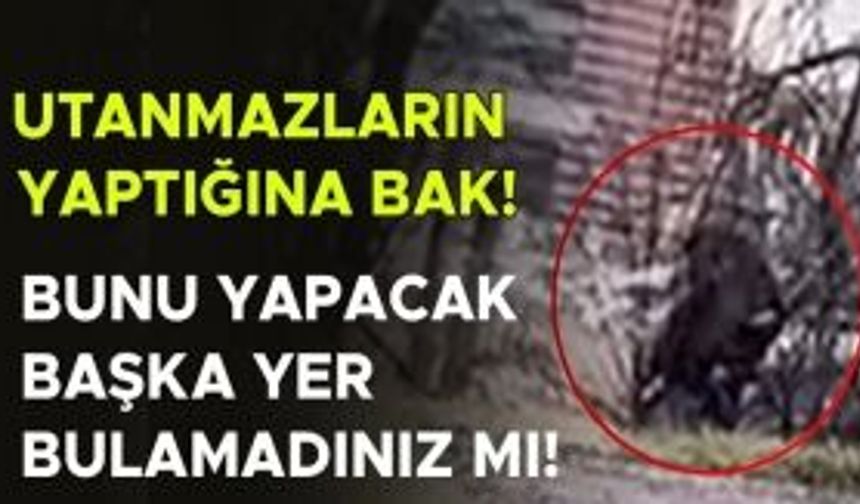 YAŞANAN REZİLLİĞE ŞAHİT OLAN VATANDAŞ: “EDEPSİZLİKLERİNİ SOKAKTA YAŞIYORLAR”