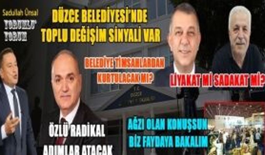 DÜZCE’YE NE KATACAKSINIZ ONU SÖYLEYİN