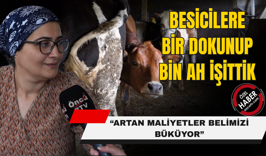 “DESTEK, HİBE ŞARTLARI YUMUŞATILMAZSA HAYVANCILIK ÖLECEK”