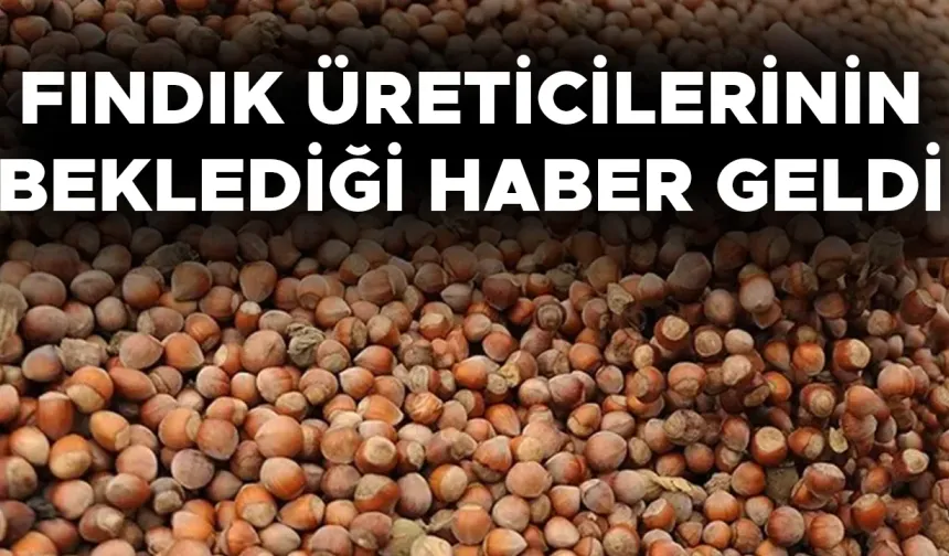 TARIM VE ORMAN BAKANLIĞI FINDIK FİYATLARINI AÇIKLADI